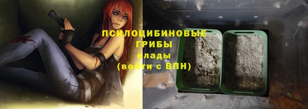 ГАЛЛЮЦИНОГЕННЫЕ ГРИБЫ Балабаново