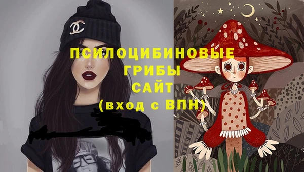 СК Аркадак