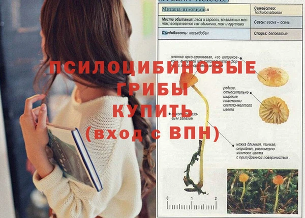 СК Аркадак